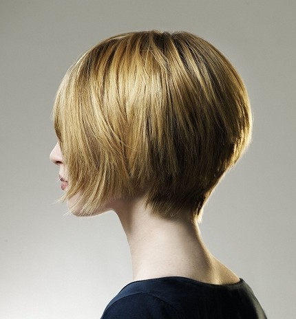 hairstyles 2011 for women short hair. Cool Short Haircuts For Women